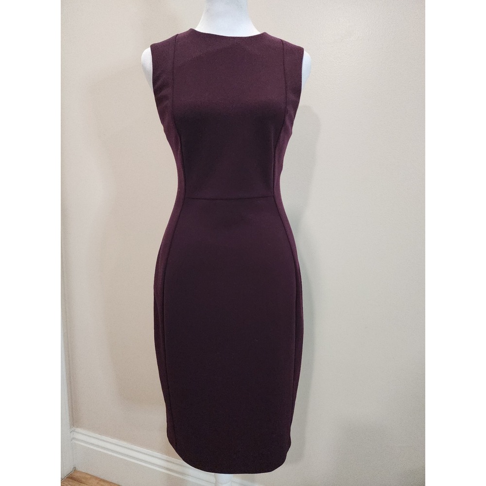 Calvin Klein Womens Plum Purple Sleeveless Sheath Dress Size 4 Gold Zip 54163
